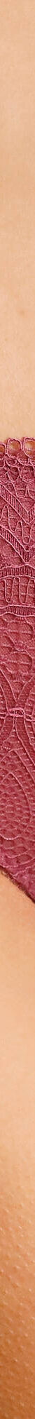 Culotte haute en dentelle et microfibre Orellana - lot de 2  (prune) Culotte haute en dentelle et microfibre Orellana - lot de 2  (prune)
